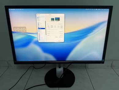 Philips 4k 32 inch UHD Monitor