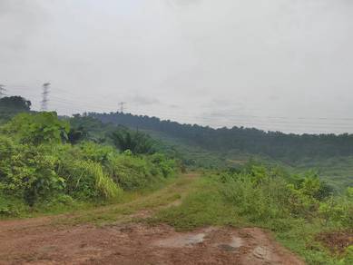 Agricultural Land in Sungai Petani, KDH
