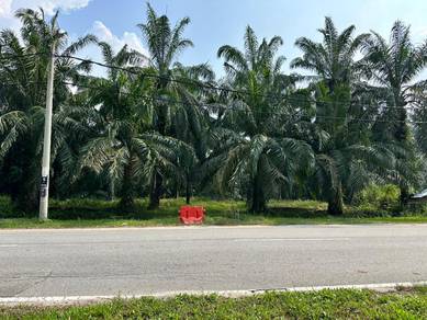 Agricultural Land in Teluk Intan, PRK