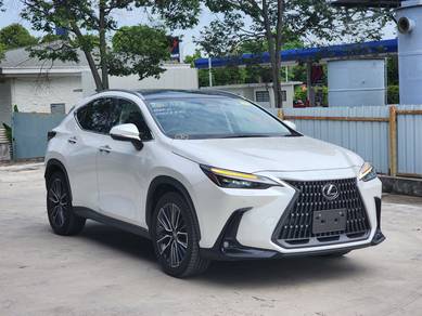 Lexus NX 250 LUXURY in Kajang, SGR