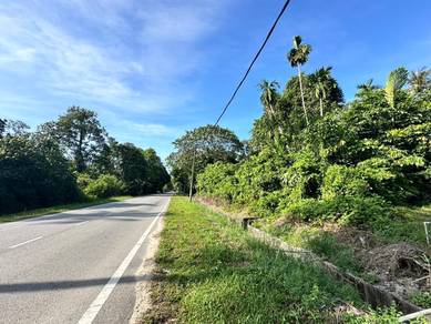 Agricultural Land in Gelang Patah, JHR