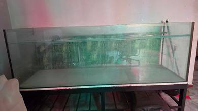 Akuarium 6ft dengan Stand