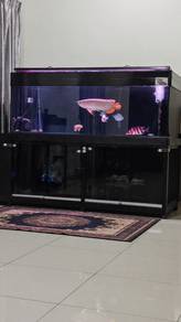 6 feet Aquarium with sumptank