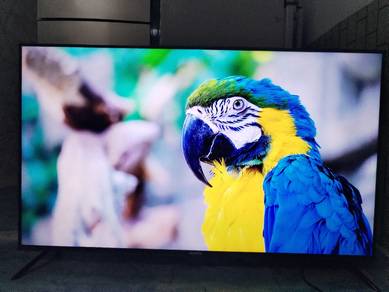 Andriod 55inch TV Murah 