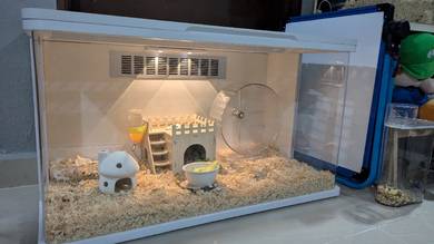 sangkar hamster 