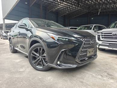 Lexus NX 250 LUXURY in Chan Sow Lin, KUL