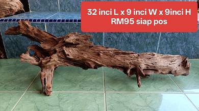 kayu hiasan aquarium 4kaki