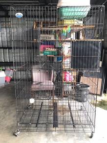 Sangkar Kucing Besar