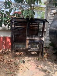reban ayam serama utk dilps kn