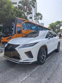 Lexus RX 300 F SPORT in Jelutong, PNG