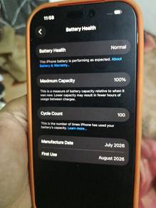 17 pro 256gb 