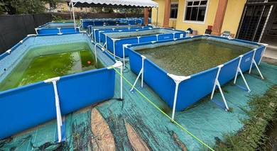 Beroperasi Penuh, Project Keli Lumayan