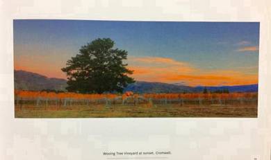 Scenic Queenstown & Central Otago - Blair Cooper