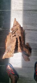 Large Driftwood for Aquascape 