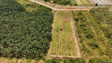 Agricultural Land in Linggi, NSN