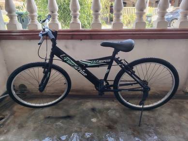 Basikal dewasa