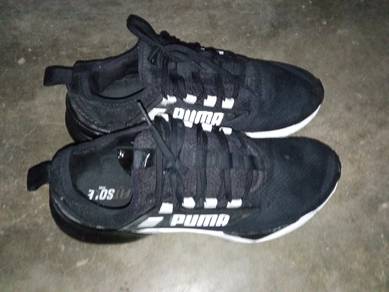 puma