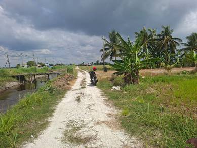 Agricultural Land in Sekinchan, SGR