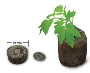 Clearance Jiffy seedling block nutrient soil ma