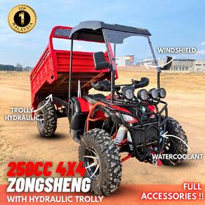 Zongsheng 250cc with hydraulic and roof