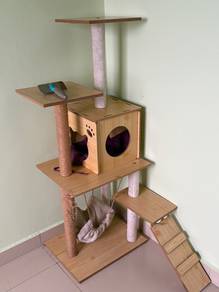 Barang keperluan kucing