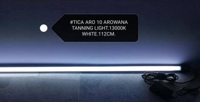 TICA Aro-10 Arowana Tanning Light White 112cm Fish
