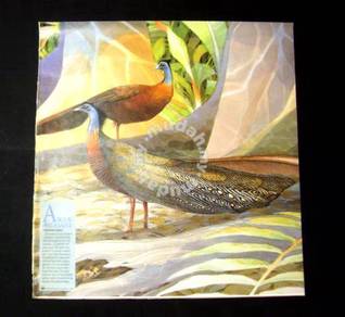 Argus Pheasant (World Wildlife Malaysia) - '80s