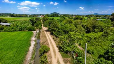 Agricultural Land in Seberang Perai, PNG