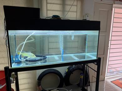 4feet aquarium 4kaki