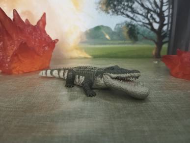 Panda's Ana Shakurel Planet Crocodile