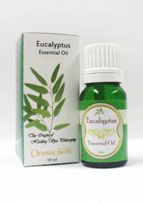 Oriental Secret - Eucalyptus Essential Oil