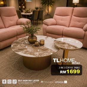 2in1 Coffee Table (Gold Leg)