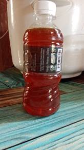 Madu lebah original dari pokok