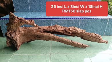 kayu aquarium driftwood untuk tank 4 kaki