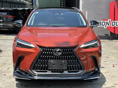 Lexus NX 250 LUXURY in Bandar Kinrara, SGR