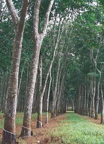 Agricultural Land in Lendu, MLK