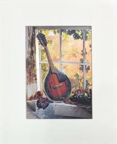 3 Vintage Style Musical Instrument Art Prints