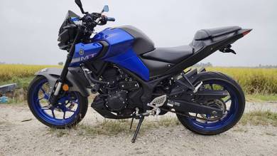 Yamaha MT250