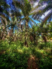 Residential Land in Keningau, SBH