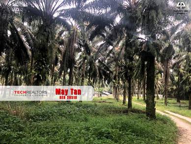 Agricultural Land in Bukit Minyak, PNG