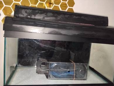 2ft fish tank
