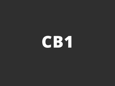 CB1