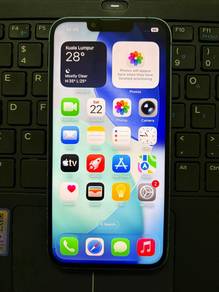 Apple 13