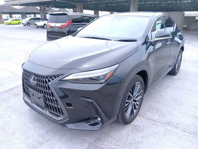 Lexus NX 250 LUXURY in Klang, SGR