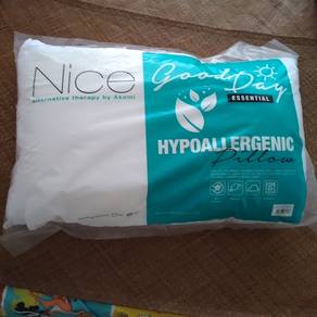 (2nd hand) pillow