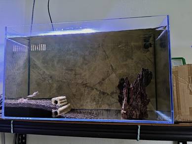 aquarium untuk dijual