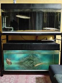 2 Akuarium 4ft Double Decker, free 4 ekor ikan