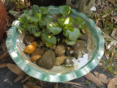 Ceramic Decoration Bowl Pond
