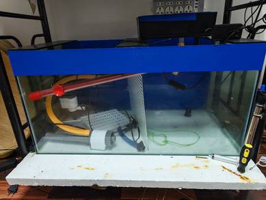 tangki ikan