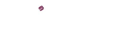 Sales Executive